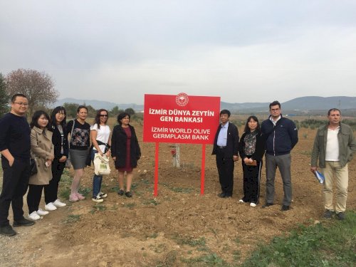 Çin Zeytincilik Heyetinin Ülkemizde Ağırlanması