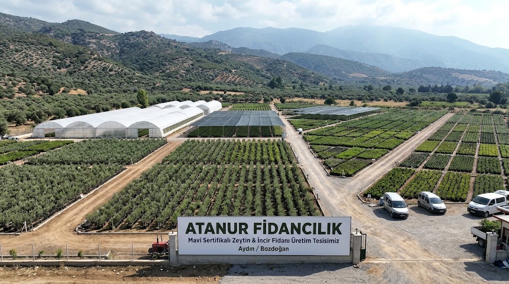 Aydın Bozdoğan’daki 35.000 m²’lik Modern Fidan Üretim Tesisi