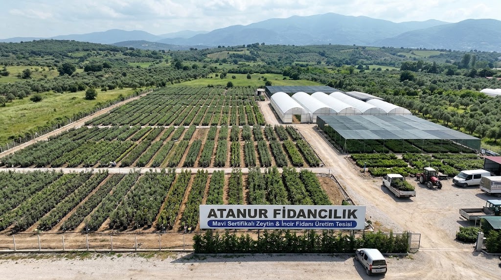 Bursa Orhangazi’deki 25.000 m²’lik Modern Fidan Üretim Tesisimiz