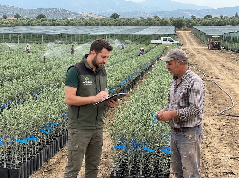 Mavi Sertifikalı Fidan Üretimi